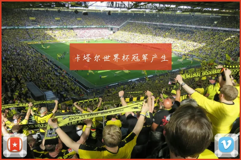 卡塔尔世界杯冠军产生